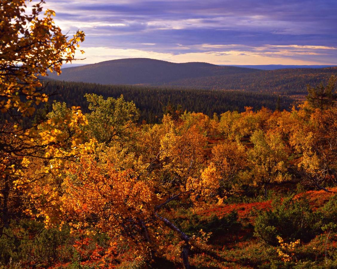 Lapland Hotels Yllaeskaltio Äkäslompolo Extérieur photo